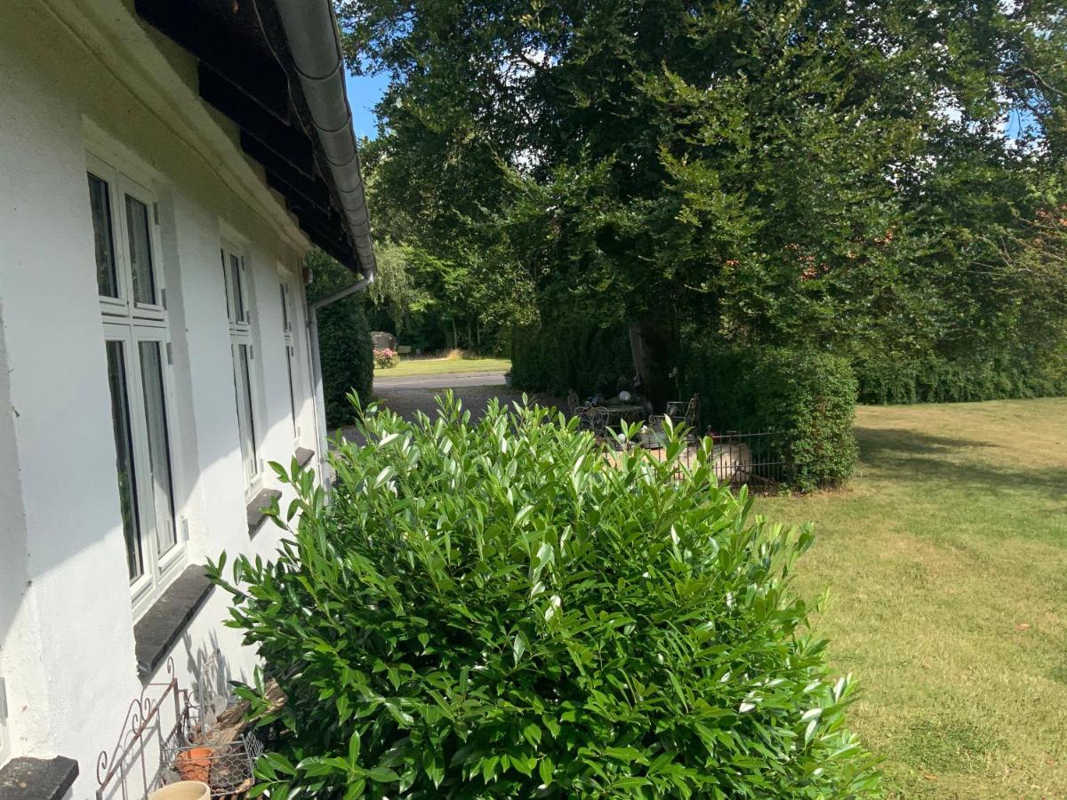 Den Gamle Apotekergaard Bed & Breakfast Hong