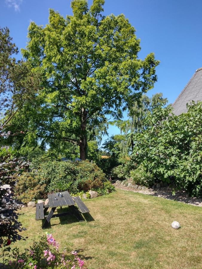 Den Gamle Apotekergaard Bed & Breakfast Hong
