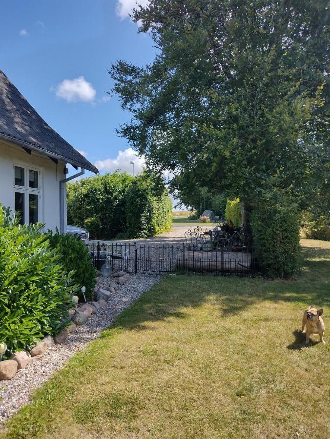 Den Gamle Apotekergaard Bed & Breakfast Hong